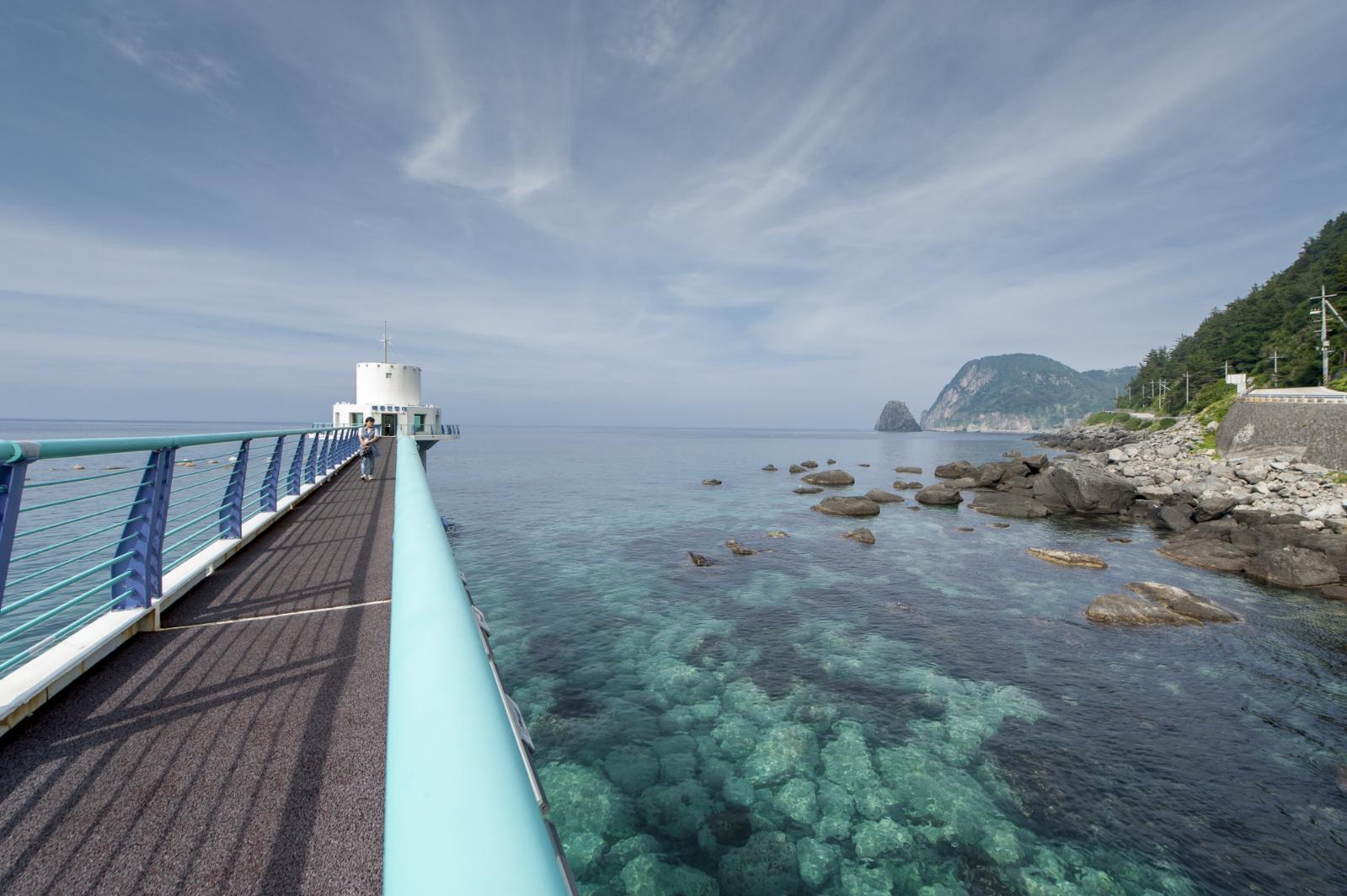 천부해중전망대 바닷속 신비로운 세상으로의 초대