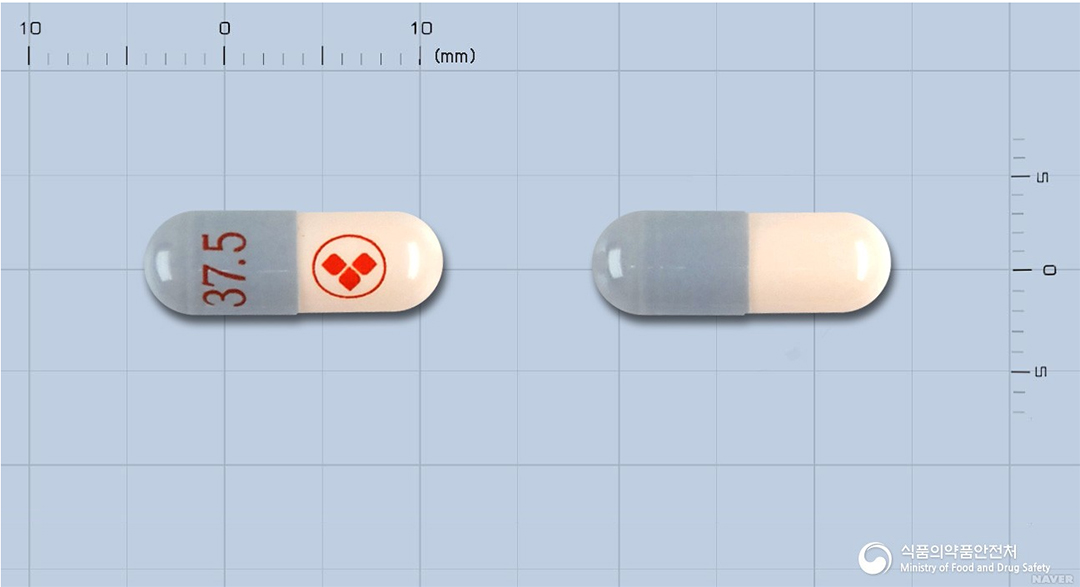 코팩사엑스알서방캡슐