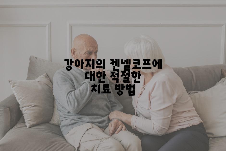 강아지의 켄넬코프에 대한 적절한 치료 방법