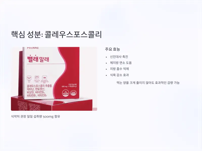 다이어트보조제-추천-6_