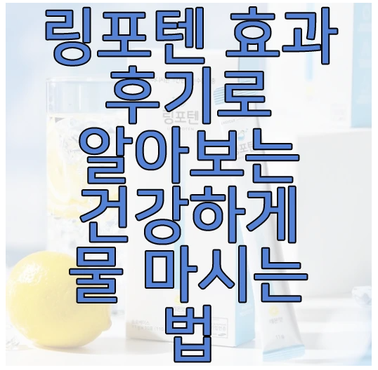 링포텐에 관한 글 보러 가기 링크 사진