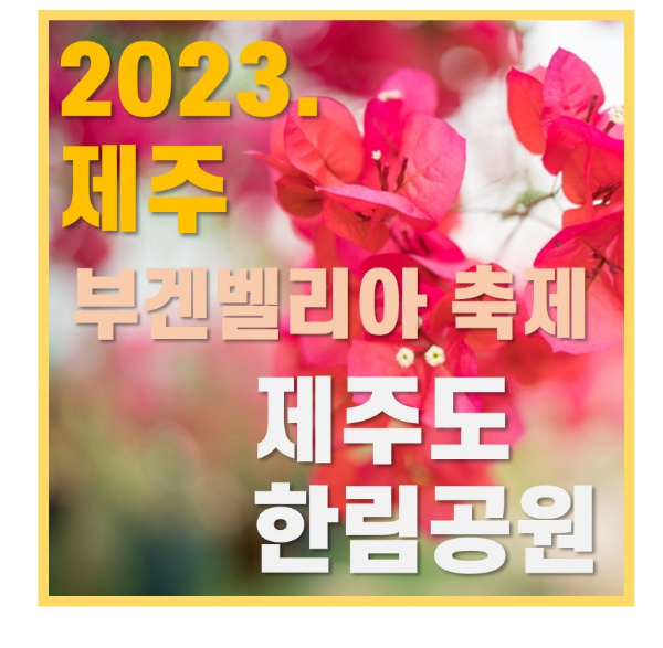 부겐빌레아 축제