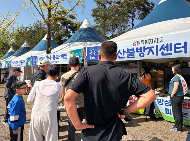 강원n 홍천 산나물축제