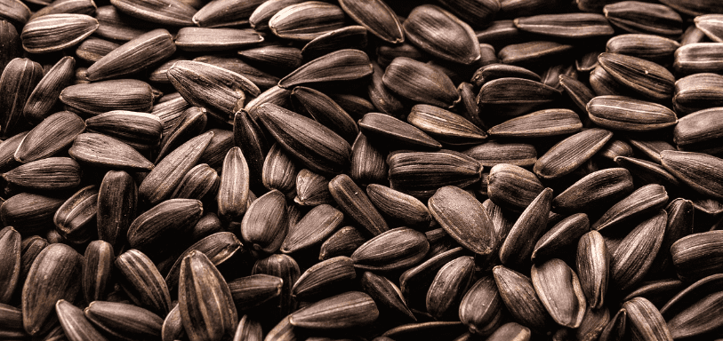 레시틴이 많은 음식 사진1