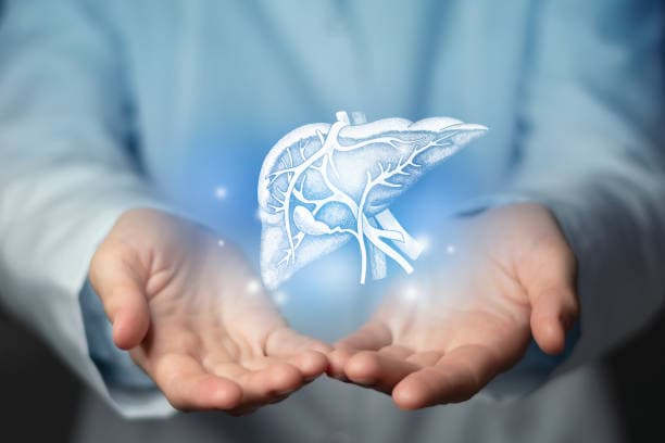 수면 중 뇌가 독소를 청소하는 글림프 시스템 완전 해설