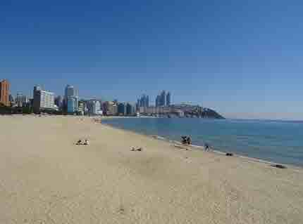 2024 보령머드축제