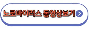 노로바이러스