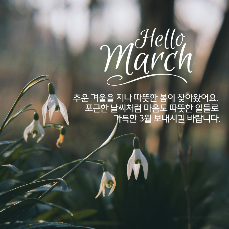 3월 인사말 문구 이미지 모음집