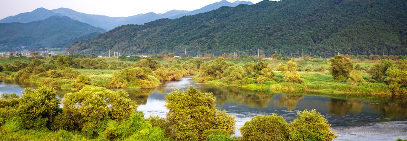 곡성 섬진강 침실습지