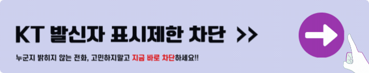 KT 발신자표시제한 차단