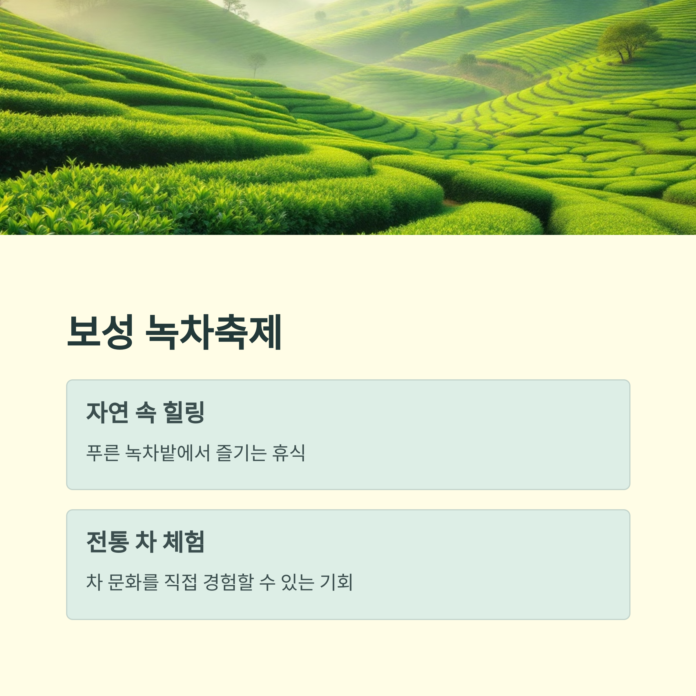 2025 지역 축제 일정