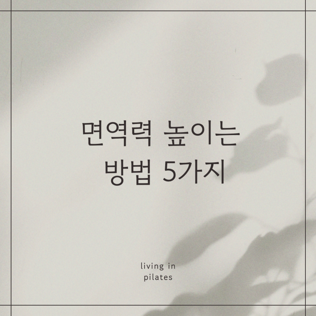 면역력 높이는 방법 5가지 알아보자