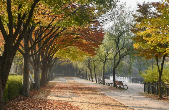 인천/명품/단풍/명소