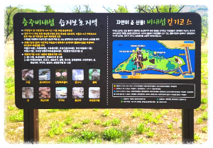 충주호