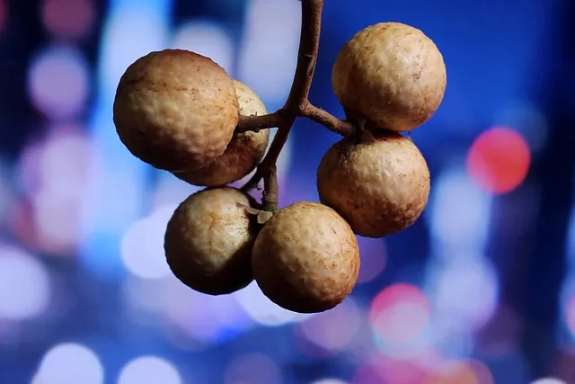 여주 가볼만한곳 베스트10 완벽 관광 가이드_4