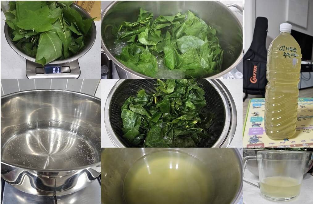 엄나무 새순 끓이기