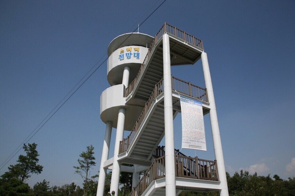 나주 느러지 전망대 수국