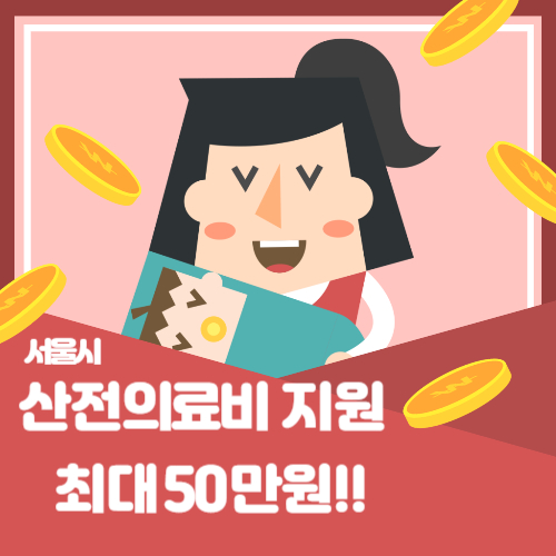 서울시 산전 의료비