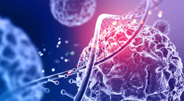 췌장암의 증상을 알아보고 예방해요