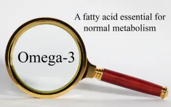 오메가3 효능 및 부작용&amp;#44; 주의점