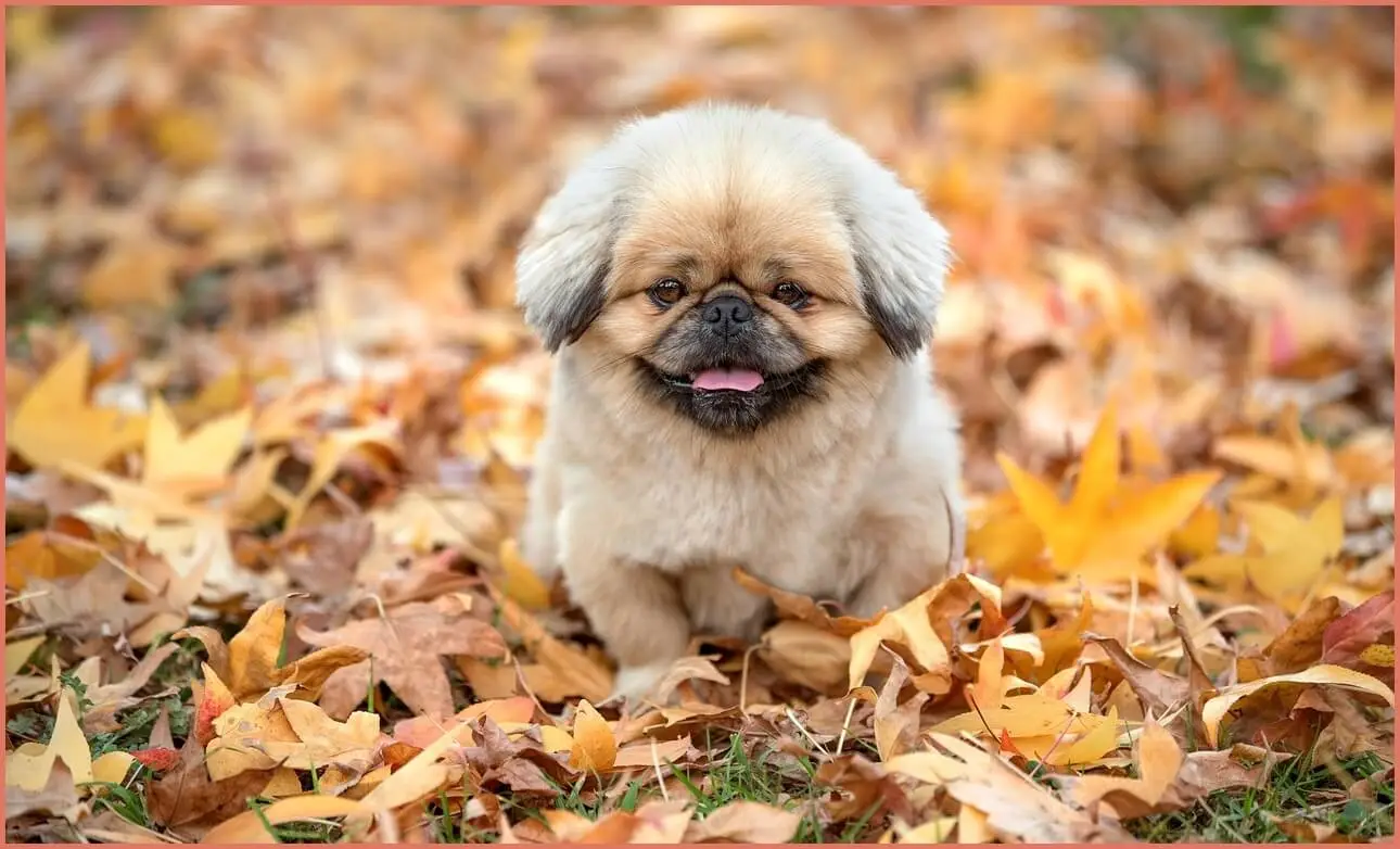 새마을금고 예금금리