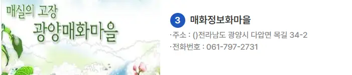 광양 매화축제 기간 2025 일정
