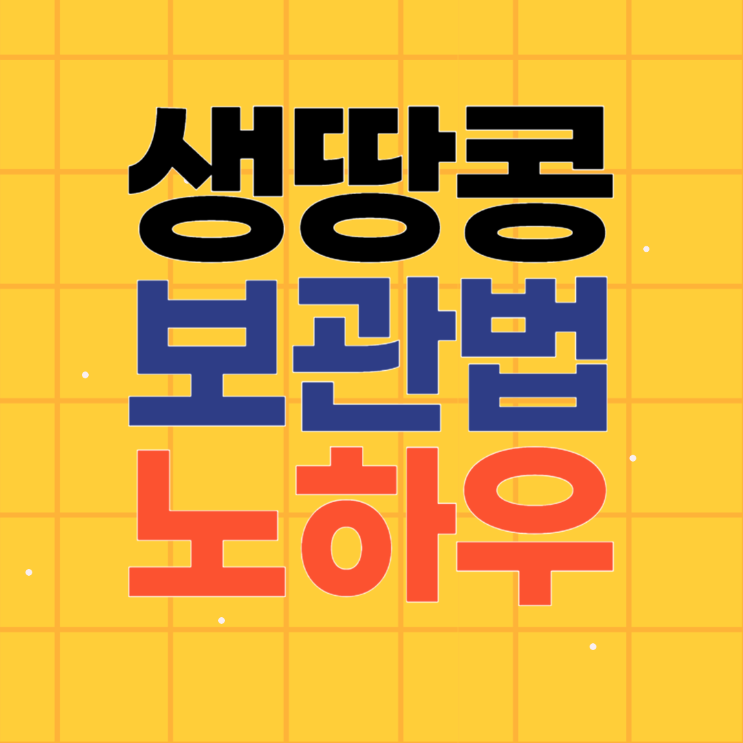 생땅콩 보관법 오래보관하는 노하우