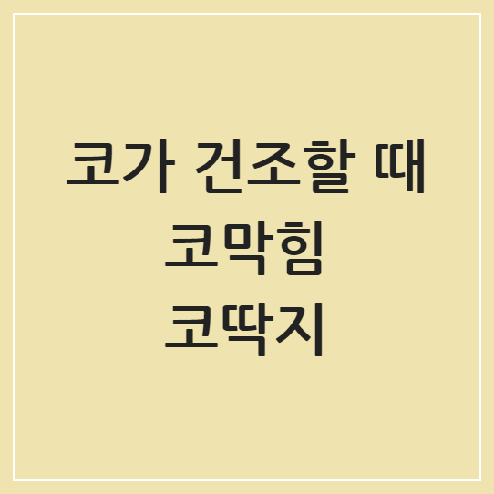 코가 건조할 때 코막힘과 코딱지 해결하는 최신 꿀팁