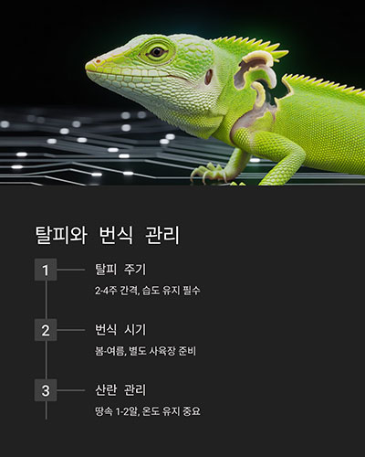 탈피, 번식 등 특별한 주기 관리
