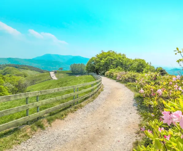 국내여행지 추천 평창 대관령