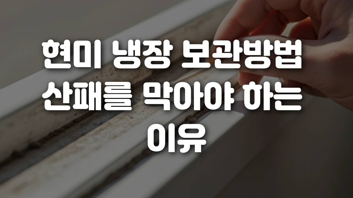 현미 냉장 보관방법 산패를 막아야 하는 이유