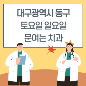 대구 동구 토요일 일요일 치과 진료 병원 리스트