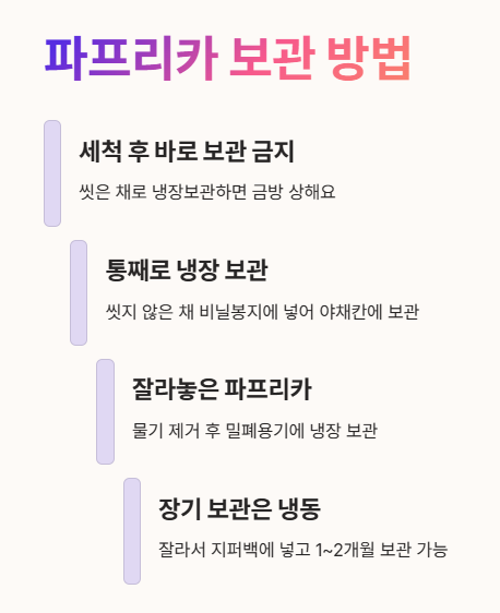 파프리카 보관 방법