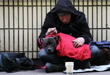 65세이상 실업급여 조건 구직활동 수급자격 신청 방법