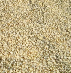 카무트 효소 효능 및 먹는법 총정리