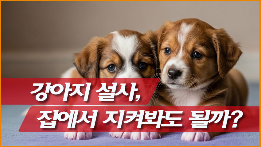 강아지 설사, 집에서 지켜봐도 될까?