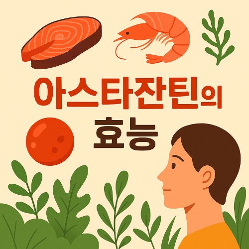 아스타잔틴의 효능