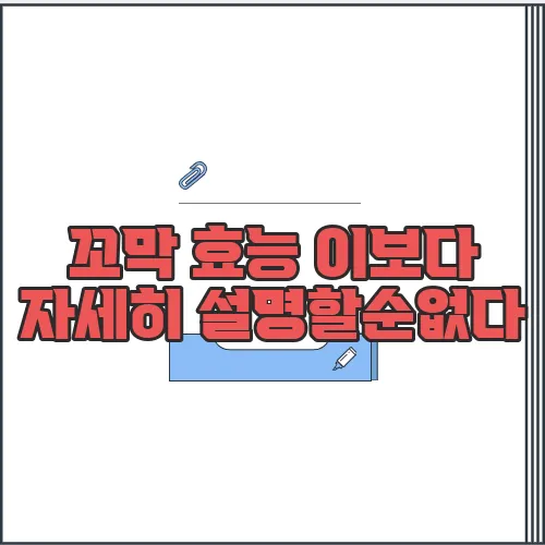 꼬막 효능 이보다 자세히 설명할순없다