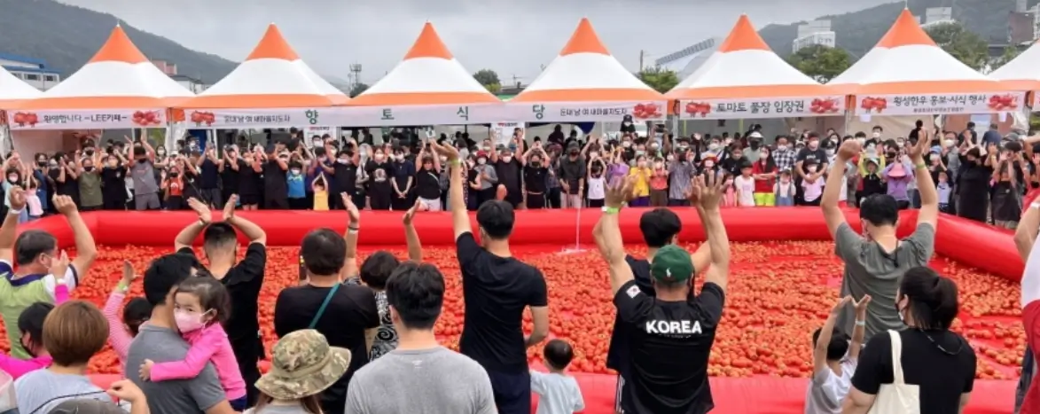 횡성군 토마토 축제