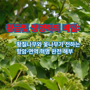 황금빛 생명력의 비밀: 황칠나무와 옻나무가 전하는 항암·면역 혁명 완전 해부