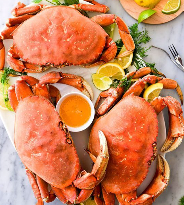 고투카원 부작용