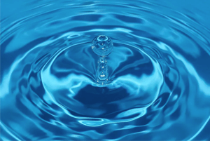 숙취해소효능10