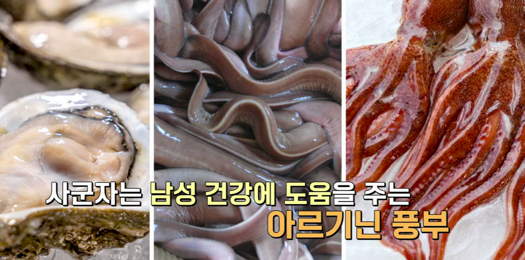전립선 사군자