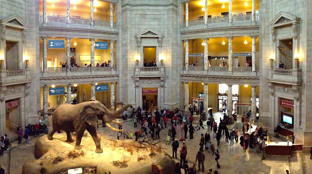 스미스소니언 자연사박물관