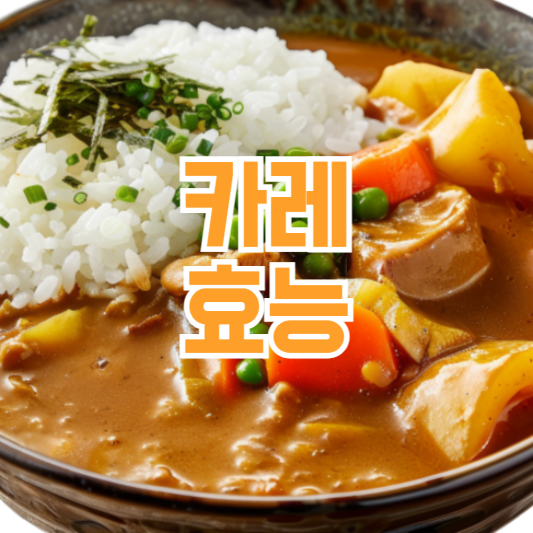 카레 효능 6가지! 면연력 올려주는!
