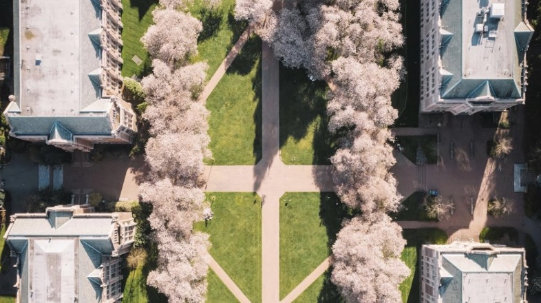 시애틀 &ndash; 워싱턴 주립대학교 (University of Washington) 🌸