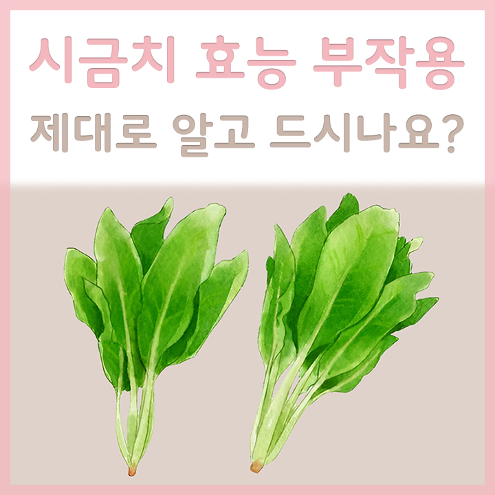 신선한-시금치