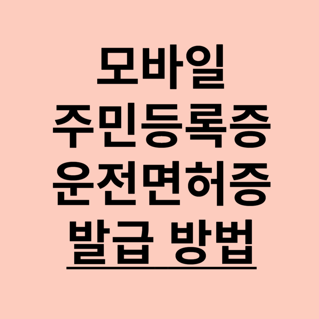 모바일 신분증 바뀐 정책 정보