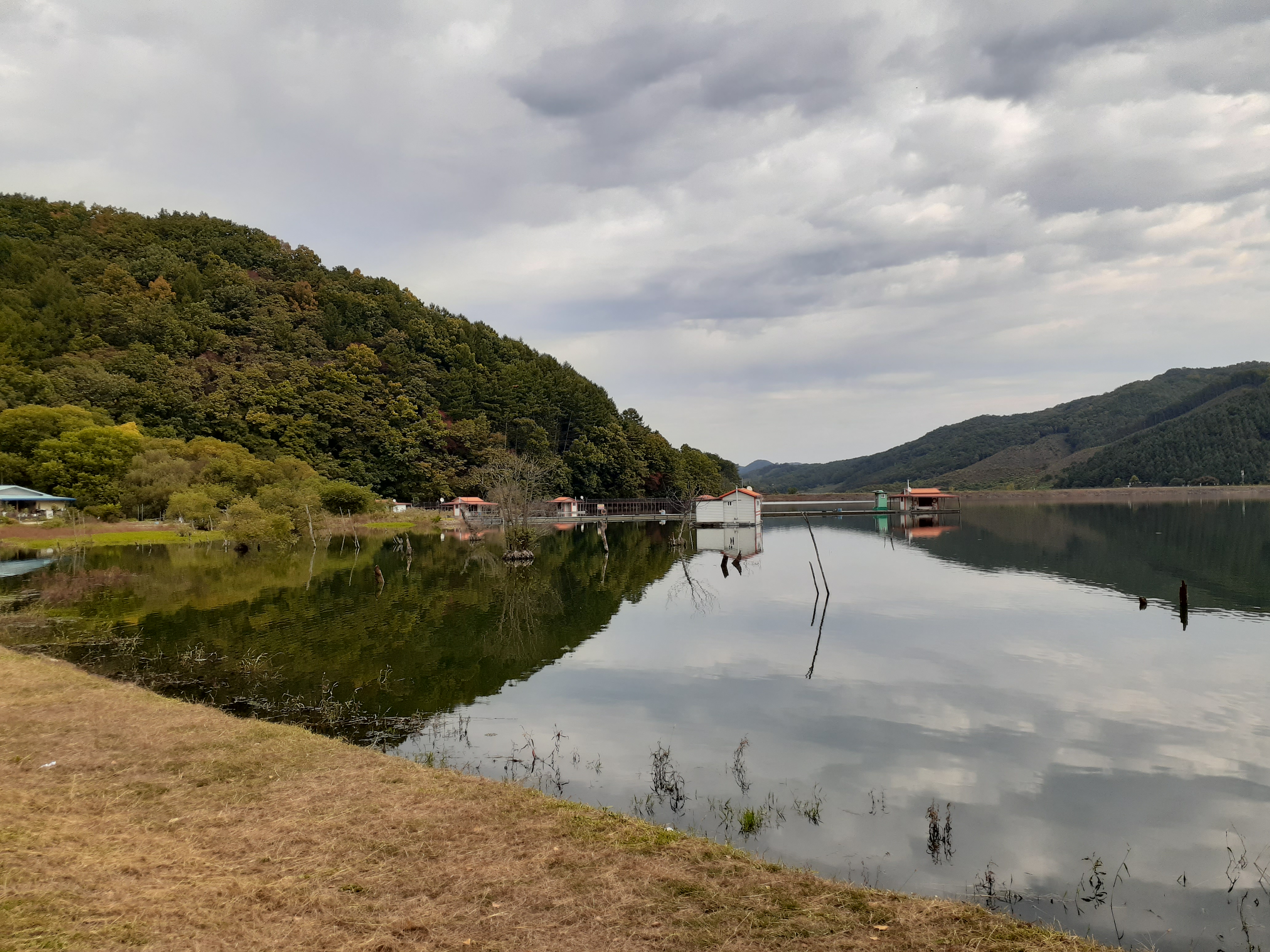 문광저수지단풍