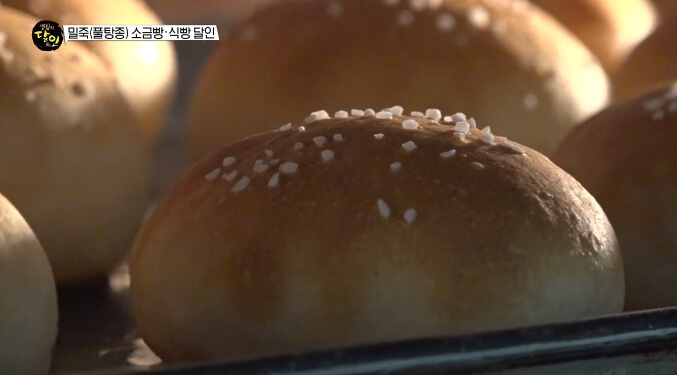 생활의달인-밀죽소금빵